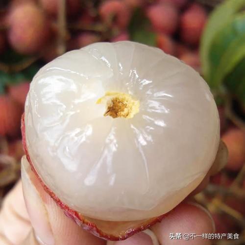 富硒水果孕妇能吃吗(孕妇能水果吃富硒吗)-硒宝网