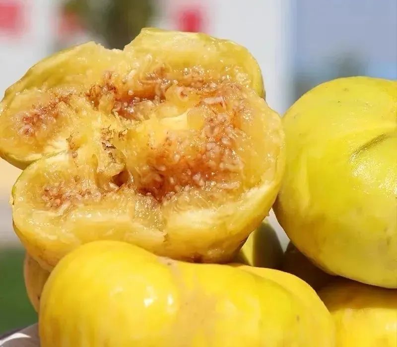 富硒水果类国家标准（水果硒含量排名）-硒宝网