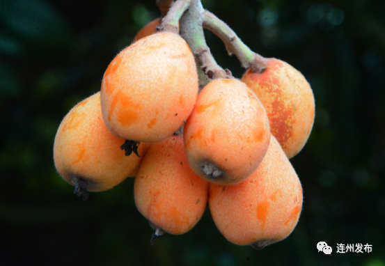 南宁市富硒水果检测(广西南宁水果批发)-硒宝网