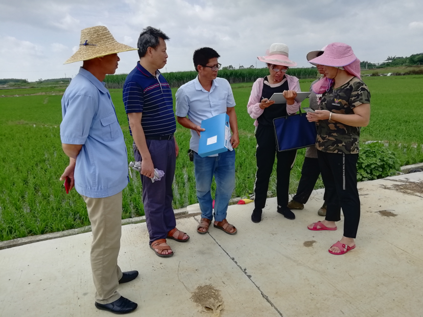象州富硒水果在哪里(富硒水果的标准是多少)-硒宝网