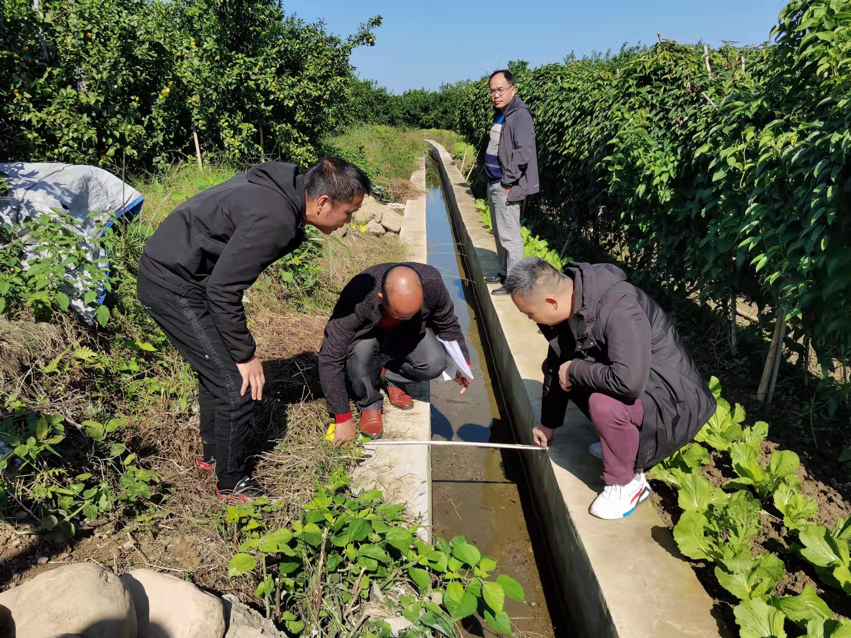 象州富硒水果在哪里(富硒水果的标准是多少)-硒宝网