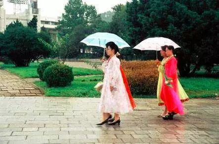 富硒水果是怎么回事（富硒水果的好处）-硒宝网