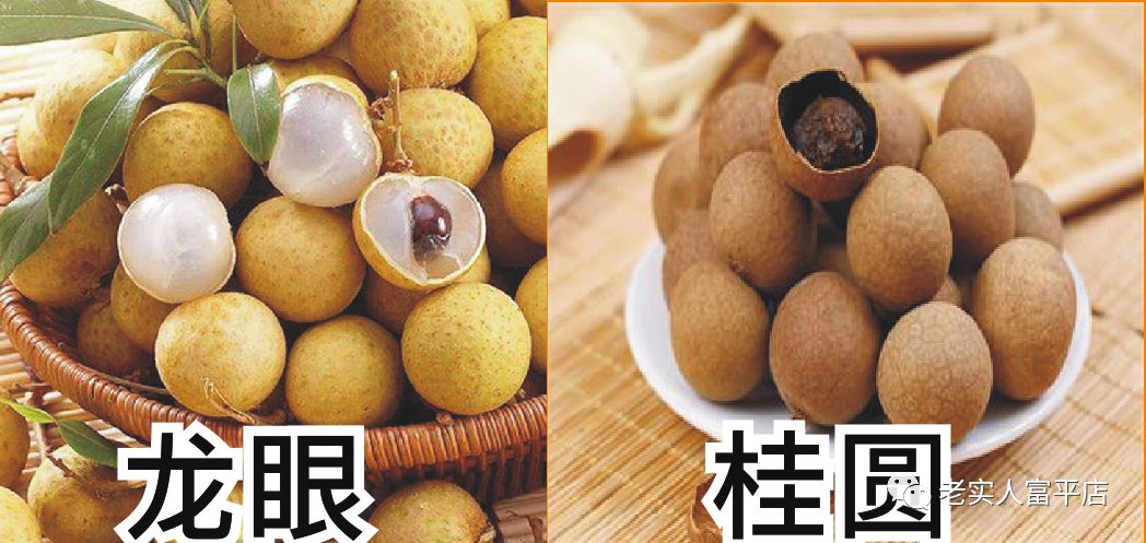 干桂圆是富硒水果吗（桂圆硒含量）-硒宝网