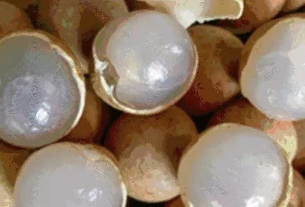 干桂圆是富硒水果吗（桂圆硒含量）-硒宝网