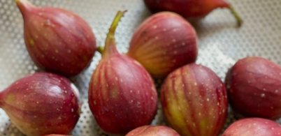 无花果是富硒水果吗（无花果富硒含量多少）-硒宝网