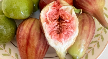 无花果是富硒水果吗（无花果富硒含量多少）-硒宝网