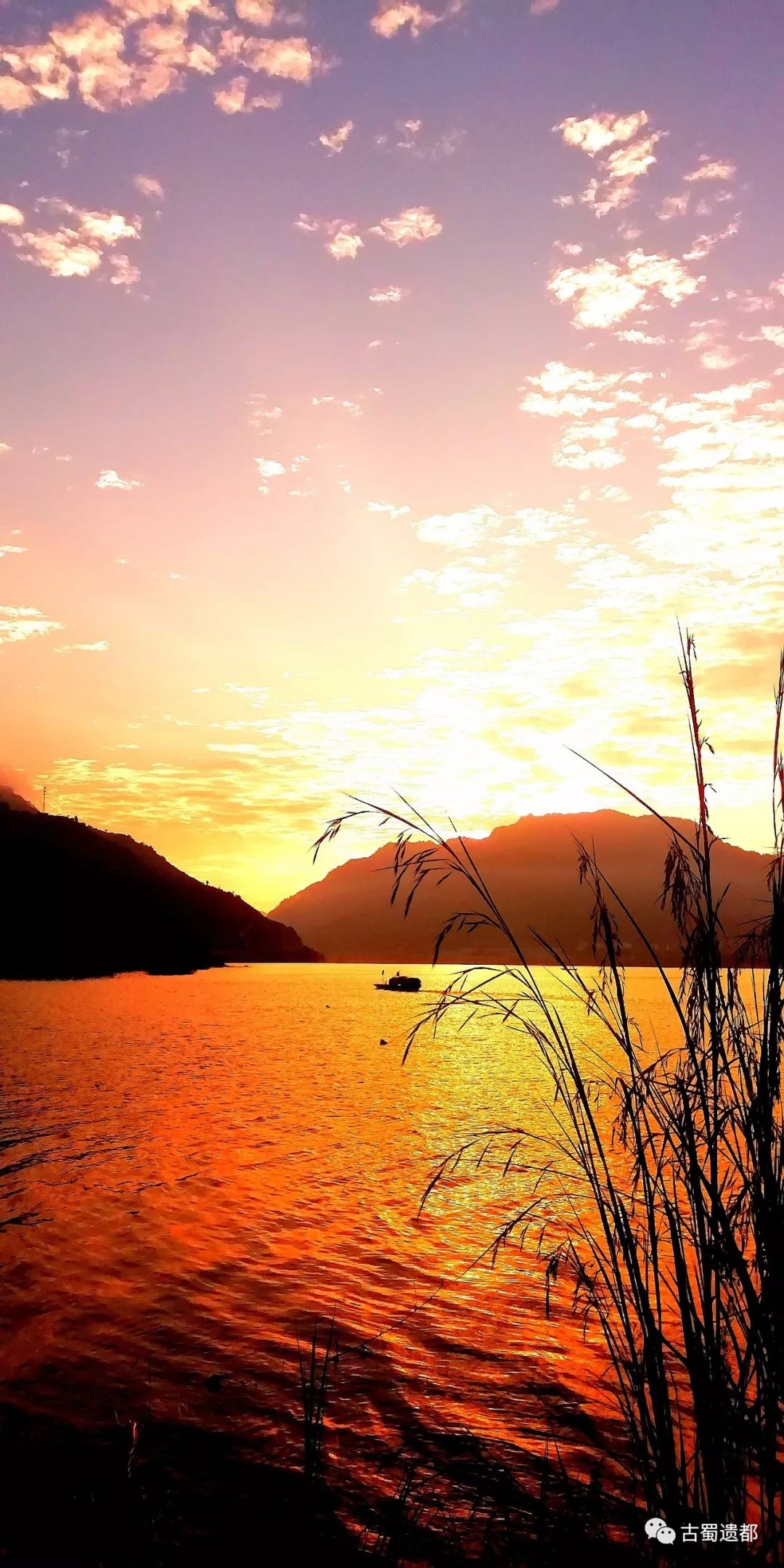 金沙江河谷富硒水果（金沙江河谷富硒水果）-硒宝网