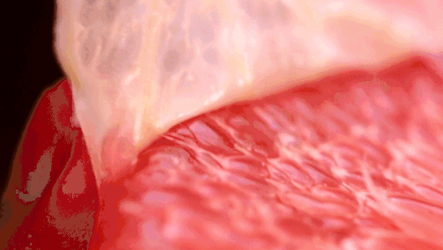 富硒水果罐头的做法（水果罐头咋做）-硒宝网