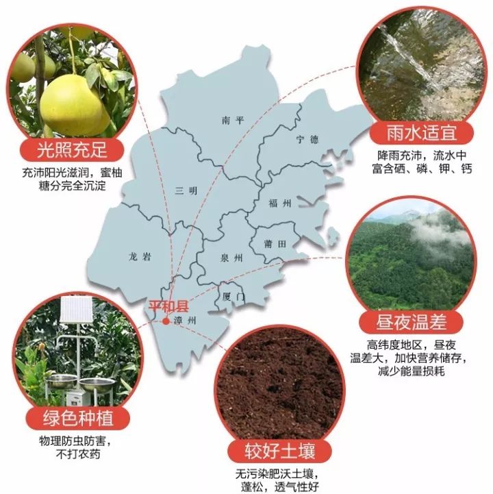 富硒水果罐头的做法（水果罐头咋做）-硒宝网