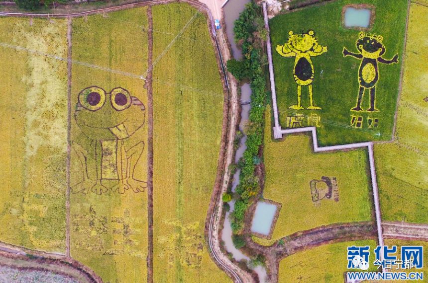 富硒水果罐头的做法(家常水果罐头)-硒宝网