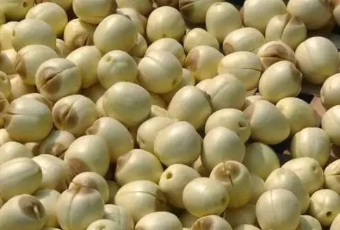 富硒水果罐头的做法(家常水果罐头)-硒宝网