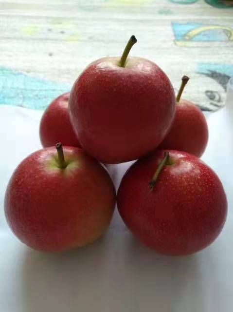 有机富硒原生态水果(富硒生态食品)-硒宝网