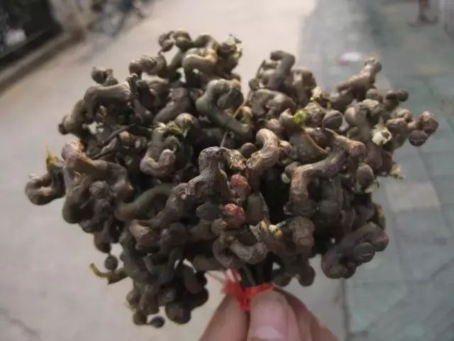 富硒水果是怎么回事（富硒类蔬菜水果）-硒宝网