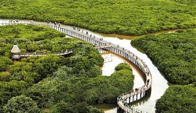 海南澄迈县富硒水果(澄迈富硒福地)-硒宝网