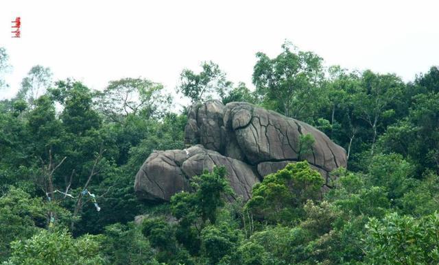 海南澄迈县富硒水果(澄迈富硒福地)-硒宝网