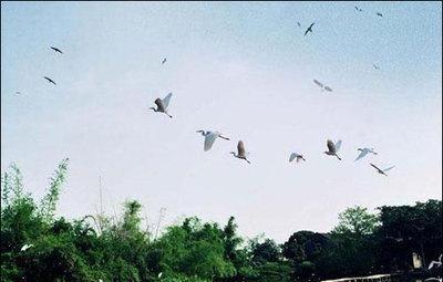 海南澄迈县富硒水果(澄迈富硒福地)-硒宝网