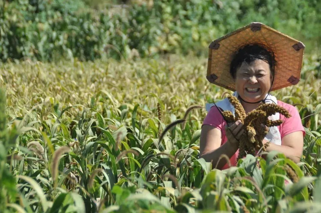 博山富硒水果哪家好（博山富硒粮仓）-硒宝网