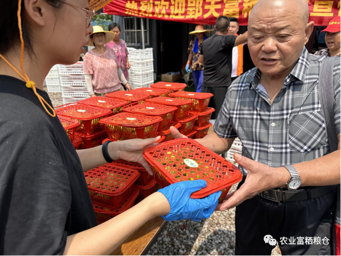 富硒水果的营养价值（水果营养价值富硒有哪些）-硒宝网