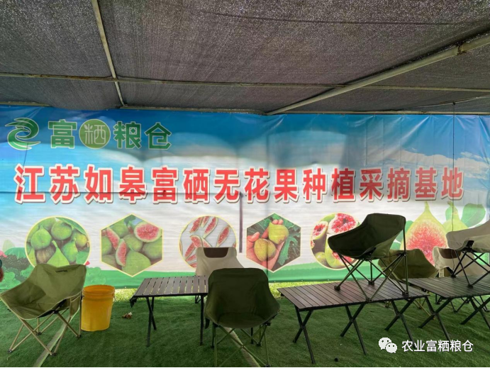 富硒水果的营养价值（水果营养价值富硒有哪些）-硒宝网