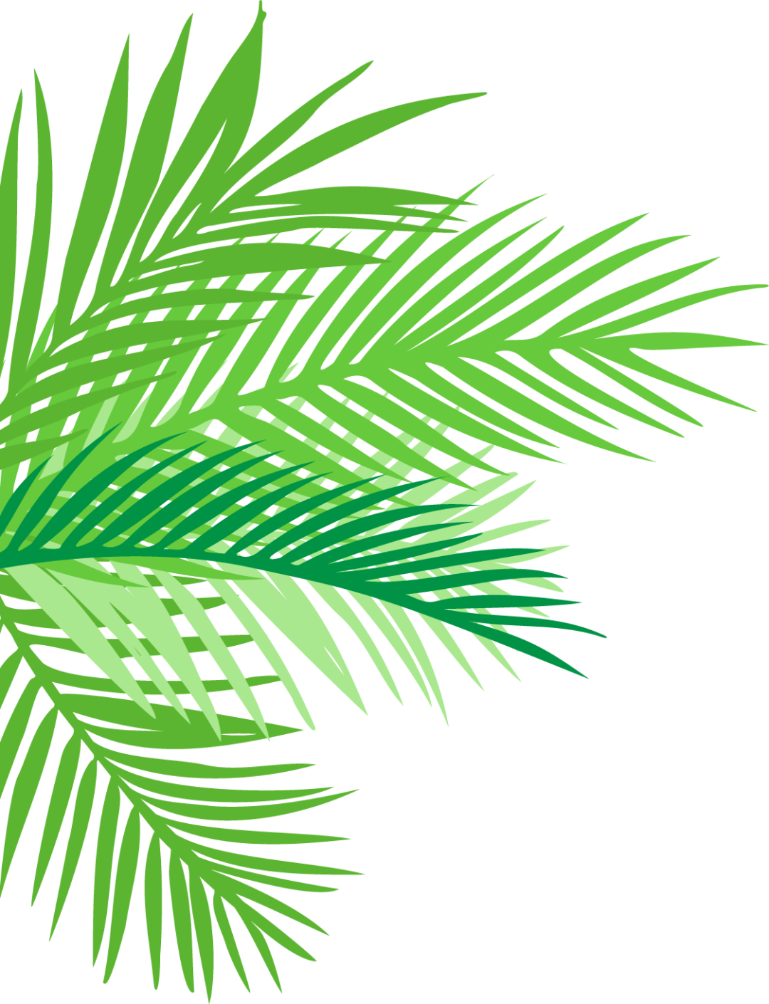 富硒果是什么水果呀（水果果富硒是什么味道）-硒宝网