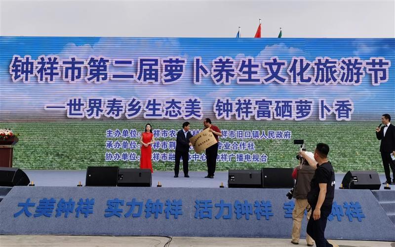 富硒水果萝卜文化节（水果萝卜的优点）-硒宝网