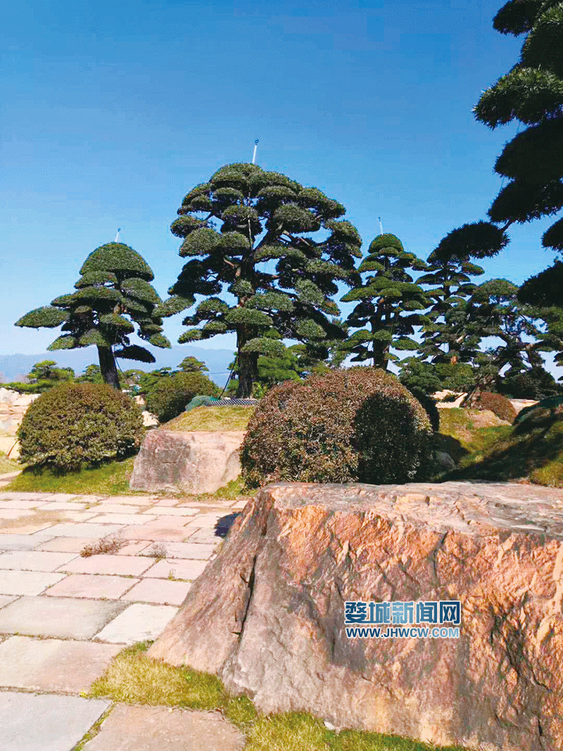 蒋堂镇富硒水果基地（蒋堂富硒花园小镇）-硒宝网