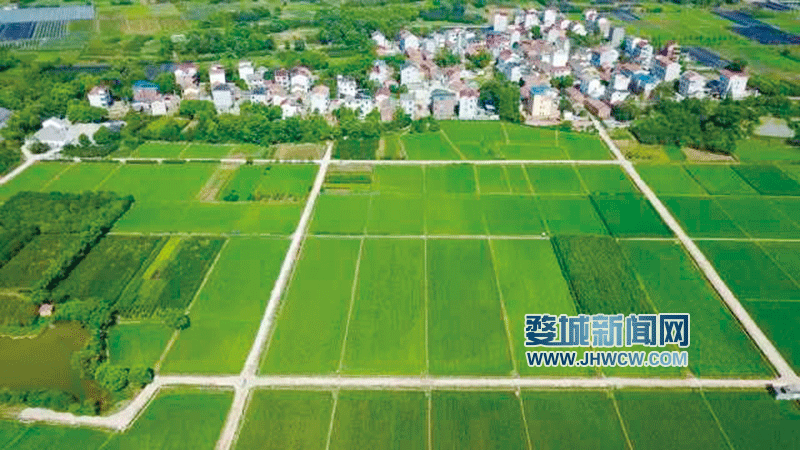 蒋堂镇富硒水果基地（蒋堂富硒花园小镇）-硒宝网