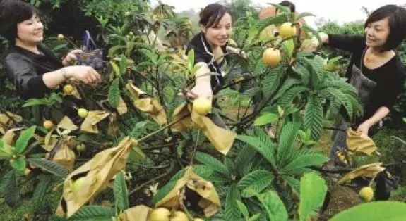 周村富硒水果哪家好（富硒果蔬）-硒宝网