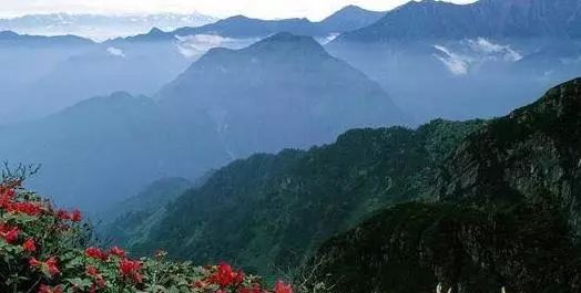 周村富硒水果哪家好（富硒果蔬）-硒宝网