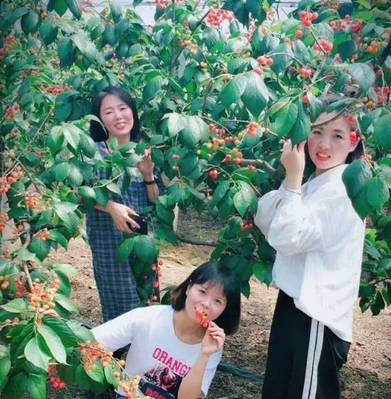 周村富硒水果哪家好（富硒果蔬）-硒宝网