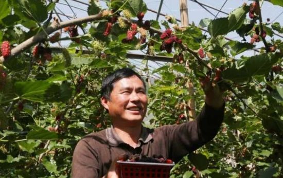 周村富硒水果哪家好（富硒果蔬）-硒宝网