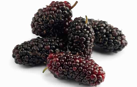 富硒果是什么水果呀（水果果富硒是什么东西）-硒宝网