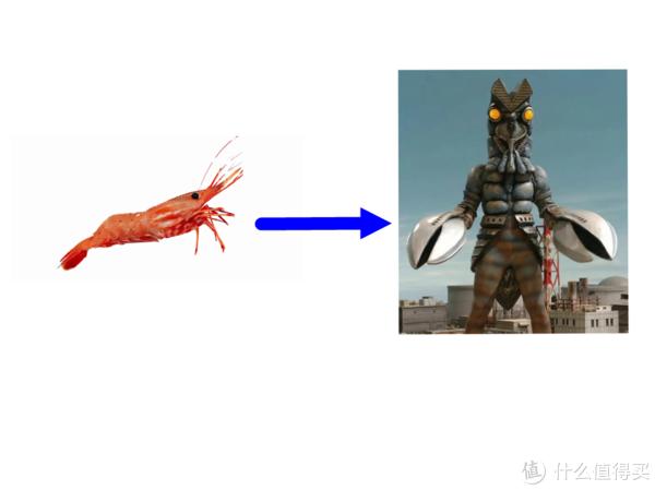 富硒水果安全性事件（水果富硒标准）-硒宝网