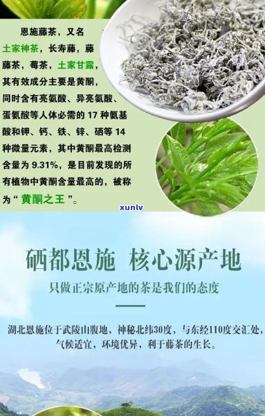 藤茶富硒250克装(富硒藤茶骗局图片)-硒宝网