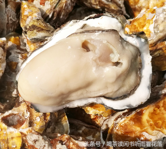 硒金牡蛎是什么产品(牡蛎硒金片的吃法)-硒宝网