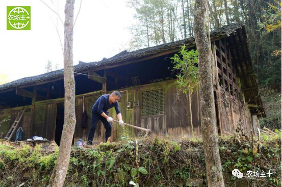 哪种硒产品最安全好(好的硒产品都有哪些)-硒宝网