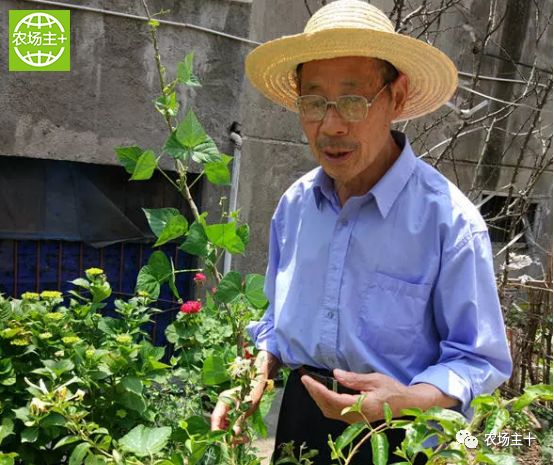 哪种硒产品最安全好(好的硒产品都有哪些)-硒宝网