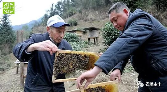 哪种硒产品最安全好(好的硒产品都有哪些)-硒宝网