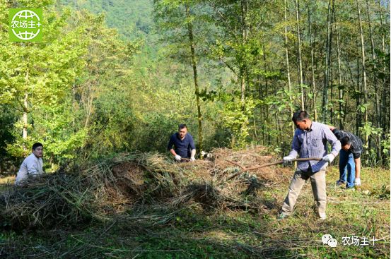 哪种硒产品最安全好(好的硒产品都有哪些)-硒宝网