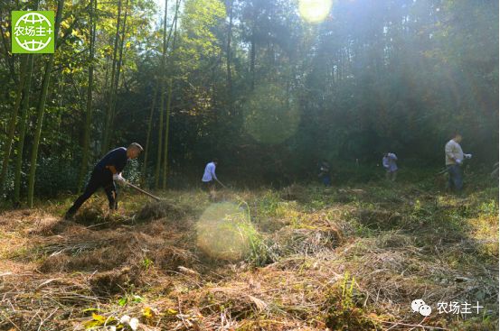 哪种硒产品最安全好(好的硒产品都有哪些)-硒宝网