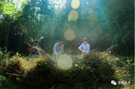 哪种硒产品最安全好(好的硒产品都有哪些)-硒宝网