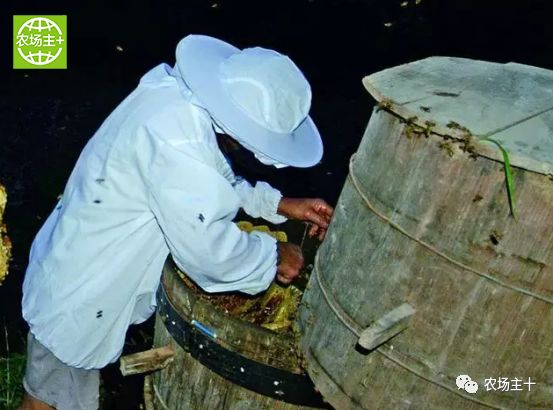 哪种硒产品最安全好(好的硒产品都有哪些)-硒宝网