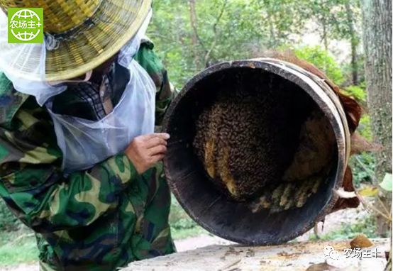 哪种硒产品最安全好(好的硒产品都有哪些)-硒宝网