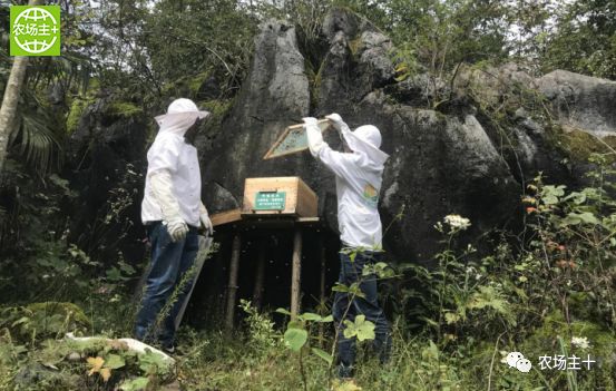 哪种硒产品最安全好(好的硒产品都有哪些)-硒宝网