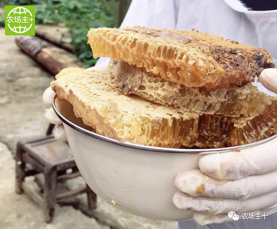 哪种硒产品最安全好(好的硒产品都有哪些)-硒宝网