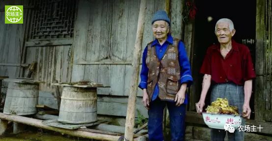 哪种硒产品最安全好(好的硒产品都有哪些)-硒宝网