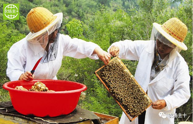 哪种硒产品最安全好(好的硒产品都有哪些)-硒宝网