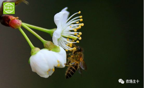 哪种硒产品最安全好(好的硒产品都有哪些)-硒宝网