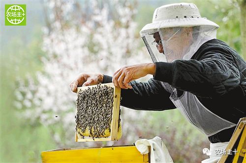 哪种硒产品最安全好(好的硒产品都有哪些)-硒宝网