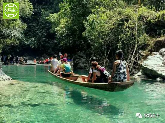 哪种硒产品最安全好(好的硒产品都有哪些)-硒宝网